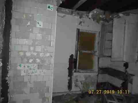 16737 Dolphin (23)_m.jpg